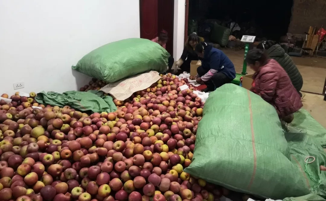 pg电子游戏试玩(中国游)官方网站-APP下载